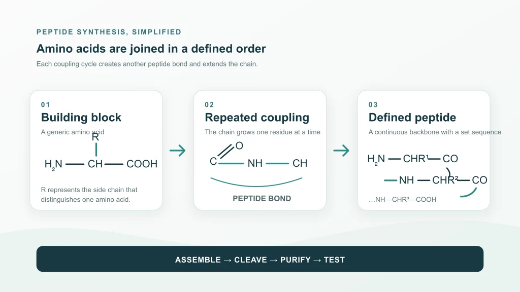 Diagram showing amino acid building blocks joined by repeated coupling into a defined peptide chain
