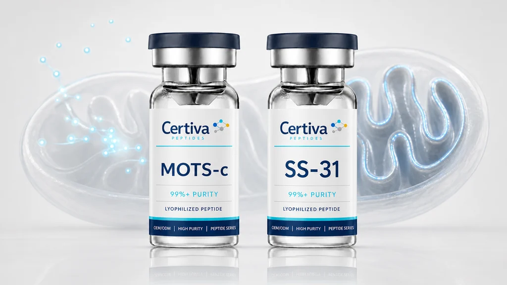 MOTS-c and SS-31 research peptide vials beside a glowing mitochondrion with signaling and inner-membrane paths