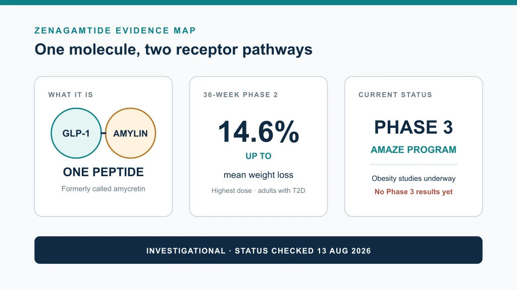 Zenagamtide evidence map showing its dual GLP-1 and amylin mechanism, 36-week Phase 2 result and Phase 3 AMAZE program